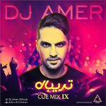 دانلود ریمیکس Amer Cue Mix IX