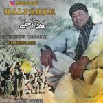 دانلود اهنگ مهدی رجبی به نام Halparke