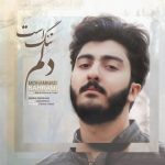 آهنگ محمد بهرامی دلم تنگ است