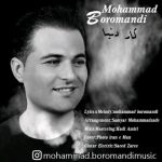 کار دنیا محمد برومندی متن