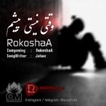 دانلود آهنگ RokoshaA وقتی نیستی پیشم