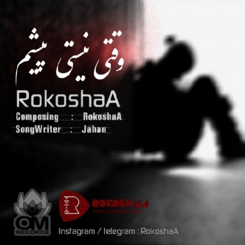 دانلود آهنگ وقتی نیستی پیشم RokoshaA