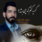 دانلود گریه کنم که چی بشه وحید نامداری