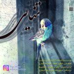 متن اهنگ تنهایی آرش