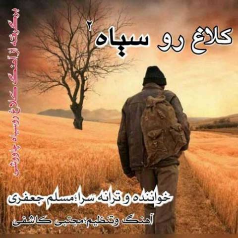 دانلود آهنگ کلاغ رو سیاه 2 مسلم جعفری