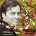 مجید اخشابی جشن پرنده ها 320