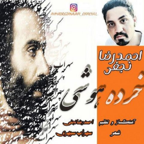 دانلود آهنگ خرده هوشی احمدرضا نجفی