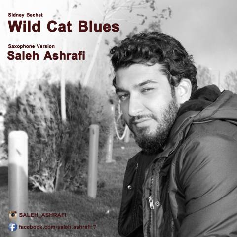 دانلود آهنگ Wild Cat Blues صالح اشرفی