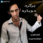 اهنگ برگرد دوباره وحید نامدار